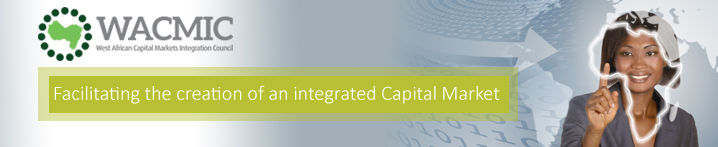 Facilitating the creation of an integrated capital market